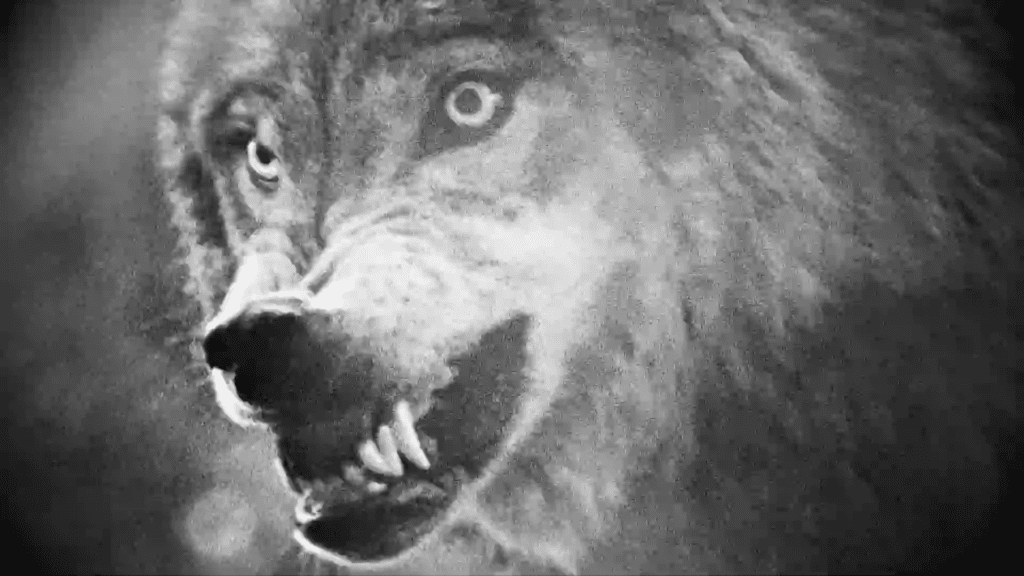 Still frame from Trump's ad "Wolves'