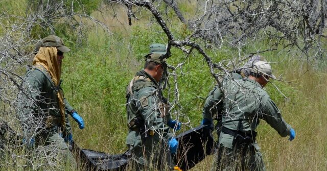 Deadliest Land Border: Heatwave Triggers Migrant Tragedy along U.S-Mexico Line