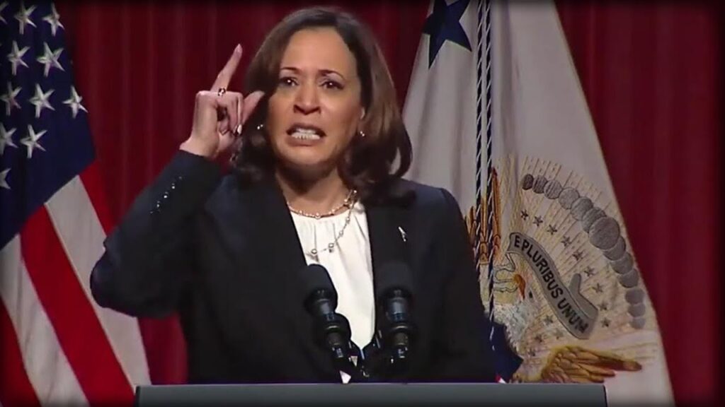 VP Harris: Outlandish Claims in Recent Speech Analyzed