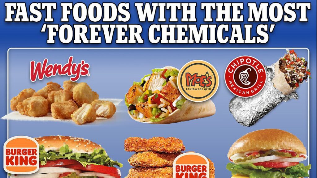 Wendy’s Unseen Burger Threat: Fast-Food King of Toxic Phthalates, Report Reveals