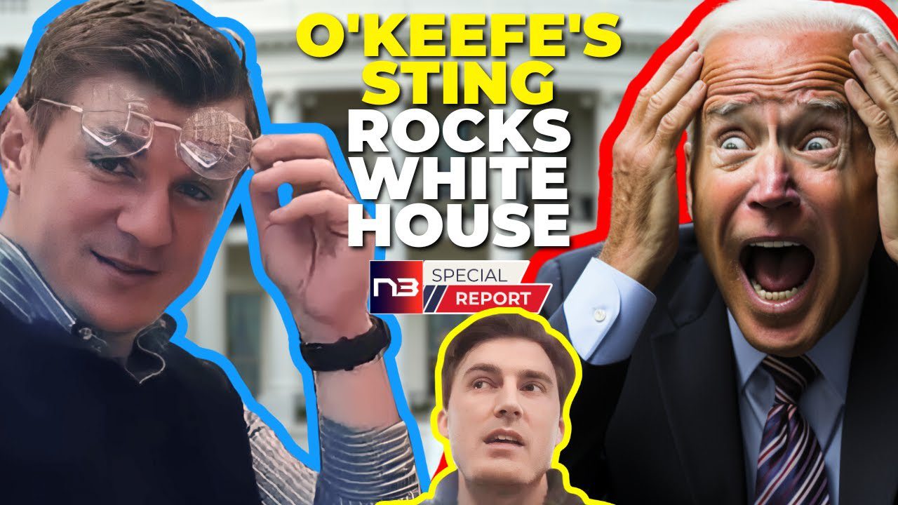 O'Keefe's Sting Reveals WH Plot Against Kamala & Biden's Mental Woes 'Off the Record'
