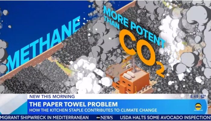 Discover How Ditching Paper Towels Could Make You a Champion Against Climate Change - Good Morning America Reveals!