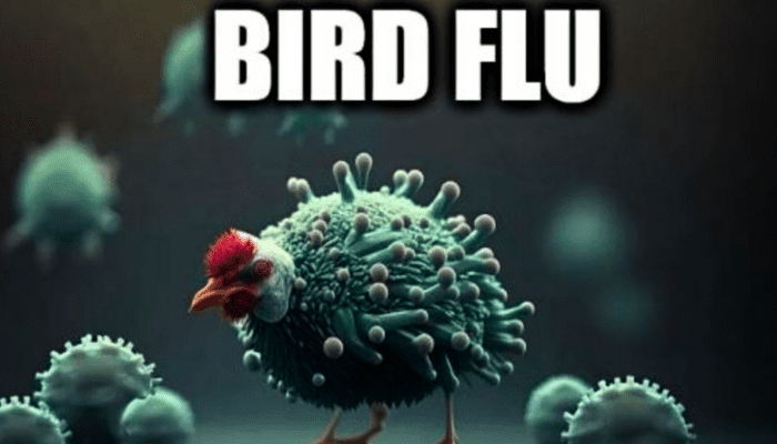 AP Remains Silent on Shocking Death Rumors from Deadly Bird Flu - Find Out Now!